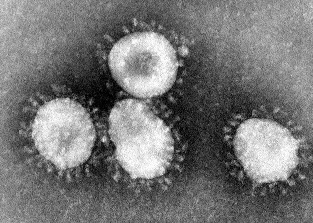 How to take precautions for Coronavirus (COVID-19)