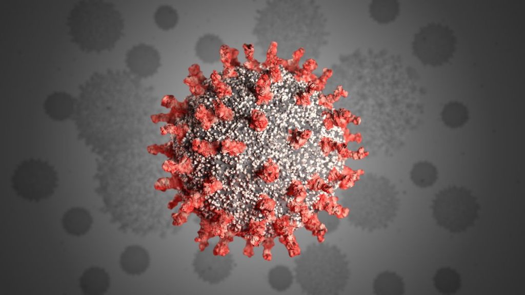 Coronavirus Vaccine