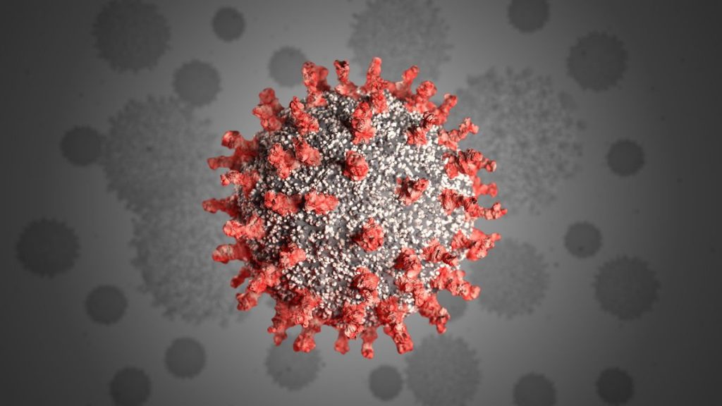Coronavirus news update