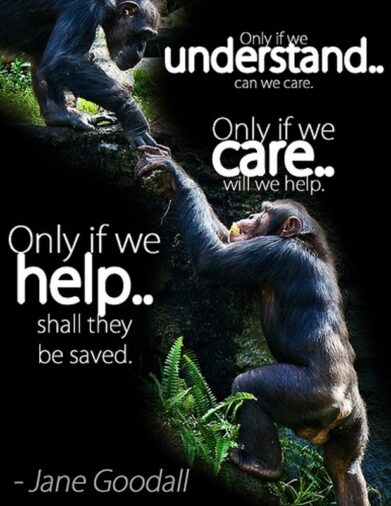 World Wildlife Day 2020 Quotes 