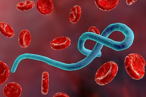 Ebola Virus has killed 4 people in Congo