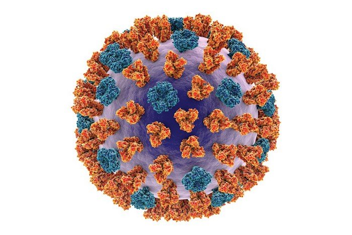 Ancestors of Coronavirus: Influenza