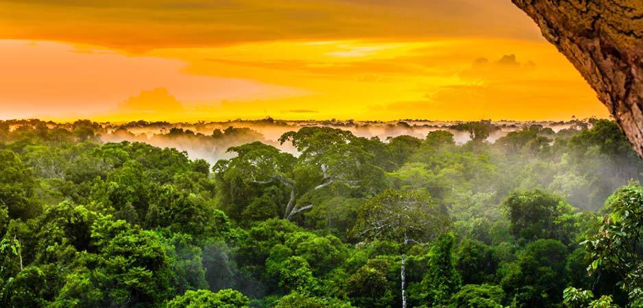 AMAZON UNDER THREAT:BRAZIL