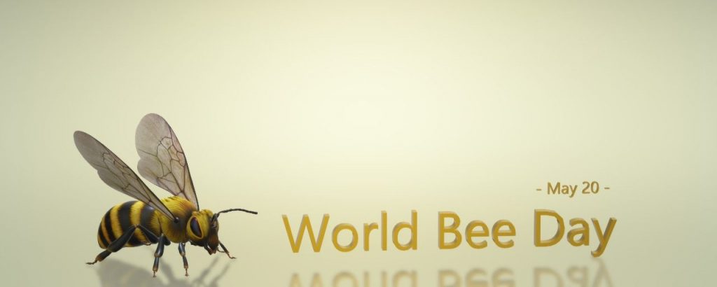 World Bee Day Why Bee Day Is Celebrated Know The Importance Of This Special Day World Wire