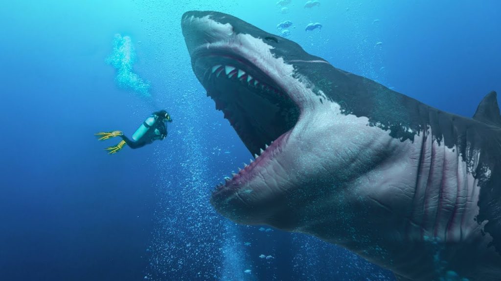 Dangerous animals in the world: Megalodon