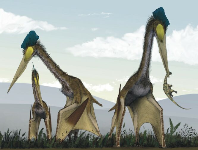 Dangerous animals in the world: Quetzalcoatlus