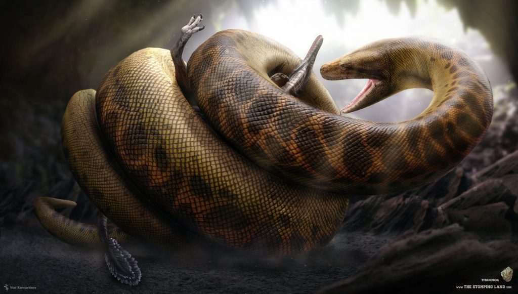 Dangerous animals in the world: Titanoboa