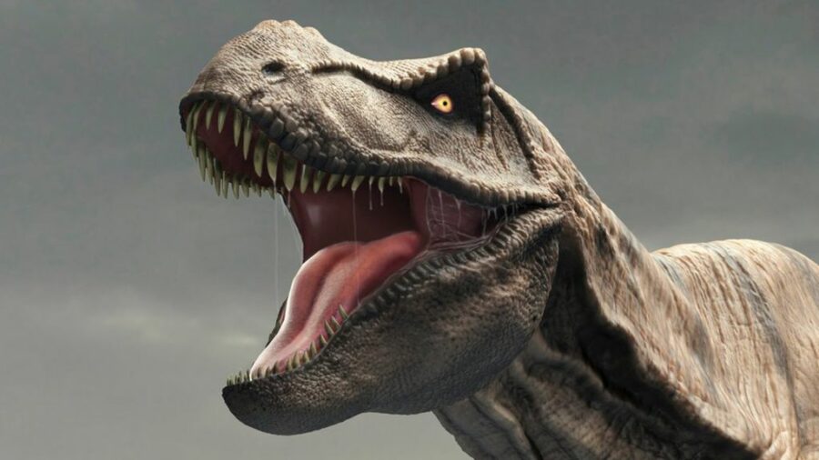 Dangerous animals in the world: Tyrannosaurus