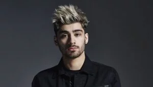 One direction Net worth, what is the Net worth of all the one direction boys?