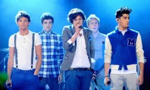 One direction Net worth, what is the Net worth of all the one direction boys?