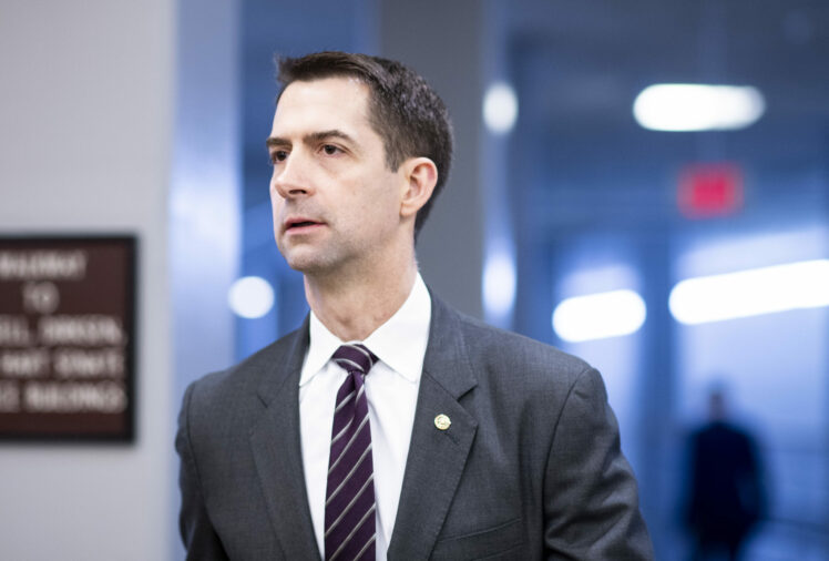 Tom Cotton Net Worth, Age, Wife, Biography, Wiki and All Personal