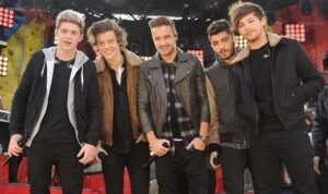 One direction Net worth, what is the Net worth of all the one direction boys?