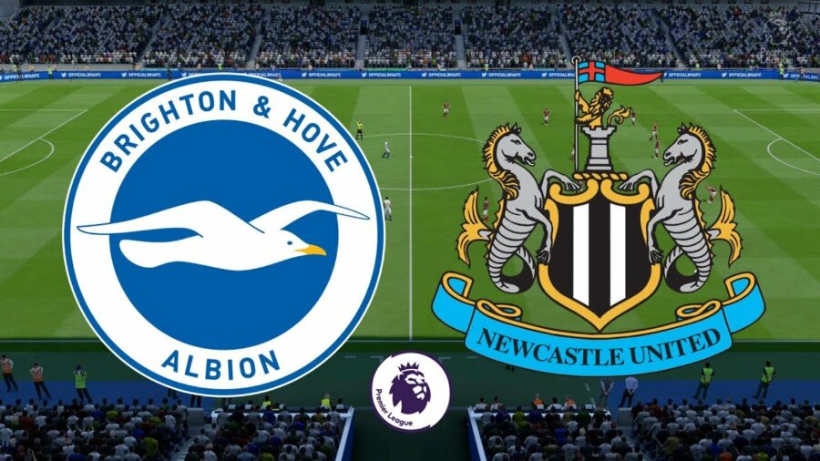 Brighton vs Newcastle latest Dream11 team, Winning predictions, Team lineups and live Updates