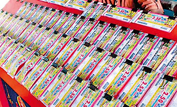 Nagaland State Sambad Lottery Result 11 october