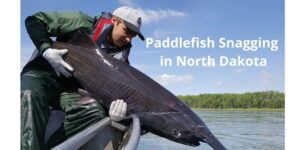 Paddlefish Snagging Season in North Dakota