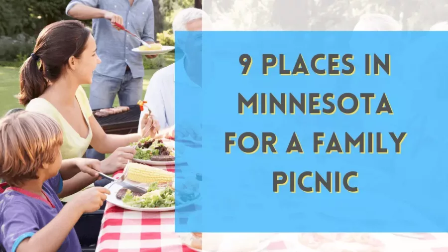 9 Places in Minnesota for a Family Picnic