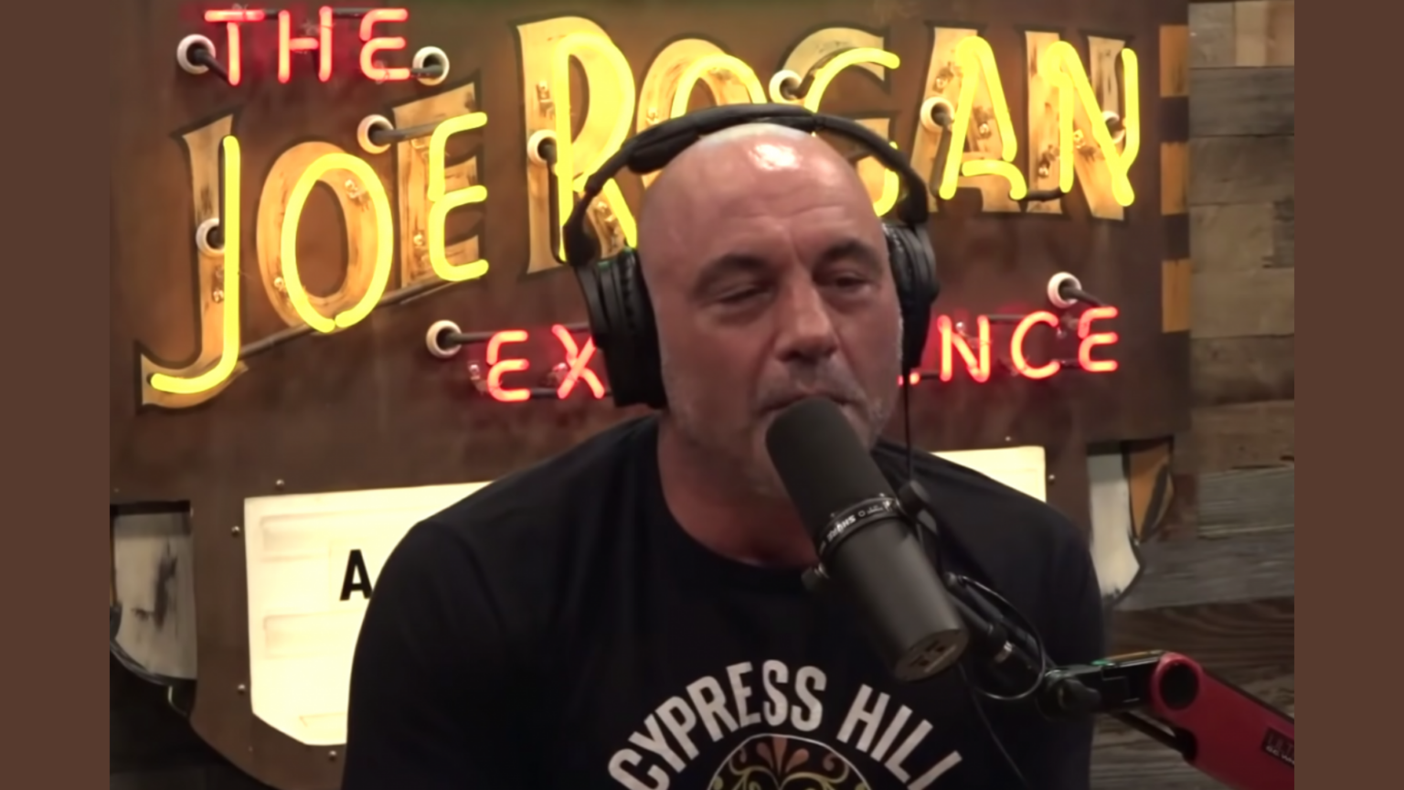 The Joe Rogan Experience's best episodes on Spotify WorldWire