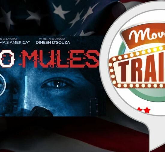 2000 Mules Trailer - Everything about the Movie