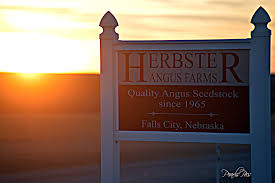 Herbster Angus Farms