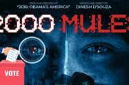 The Truth of the 2020 Election, 2000 Mules by Dinesh D'Souza