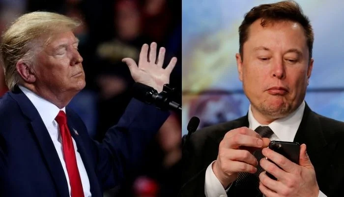 Trump & Elon Musk