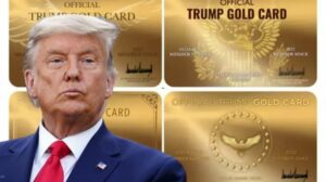 Trump's PAC Is Launching an 'Official Trump Gold Card'