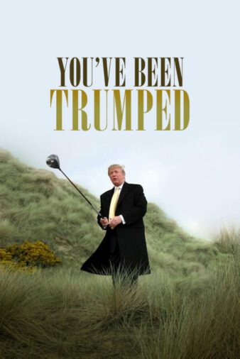 You've Been Trumped poster