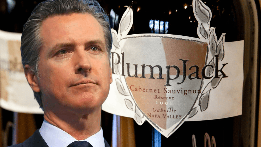 How Many Wineries Does Gavin Newsom Own