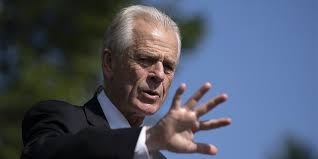 Navarro claims that President Joe Biden lacked the ability to waive former President Donald Trump's executive privilege or his former adviser's 'testimonial immunity' in an 88-page legal document seen with DailyMail.com.