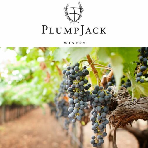plumpjack wines