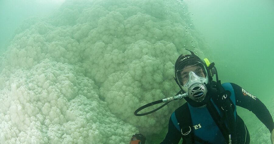 Can You Dive To The Bottom Of The Dead Sea