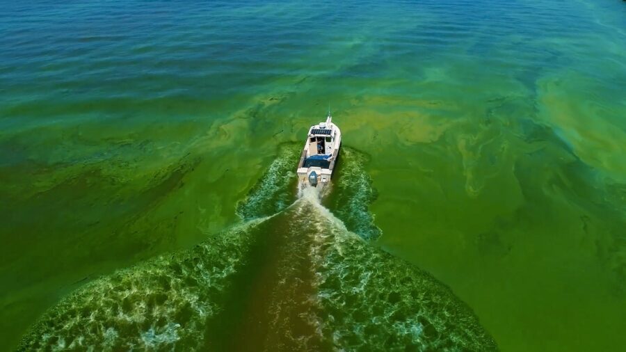 Have you ever wanted to swim in Lake Erie Guide)