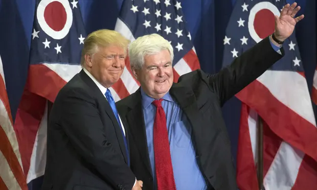 Newt Gingrich Political Career