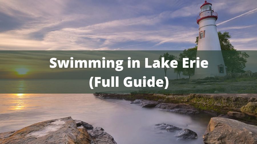 Swim in Lake Erie