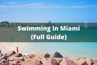 Swim in Miami