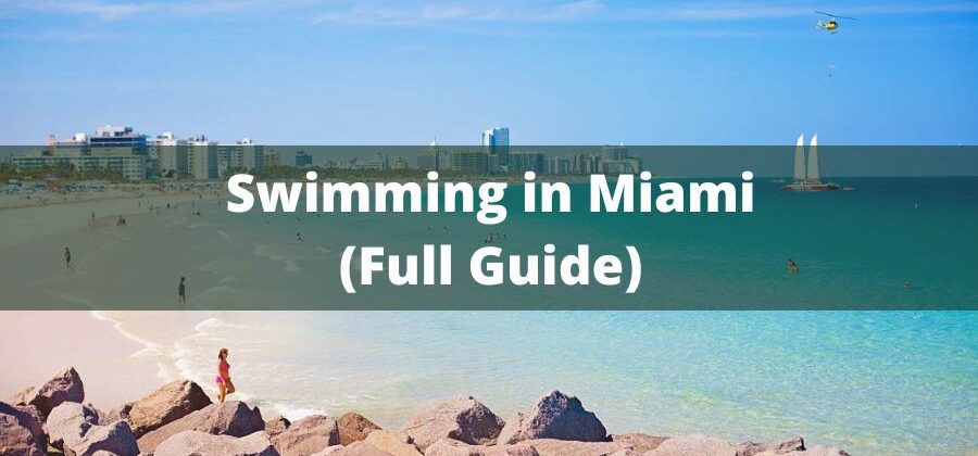 Swim in Miami