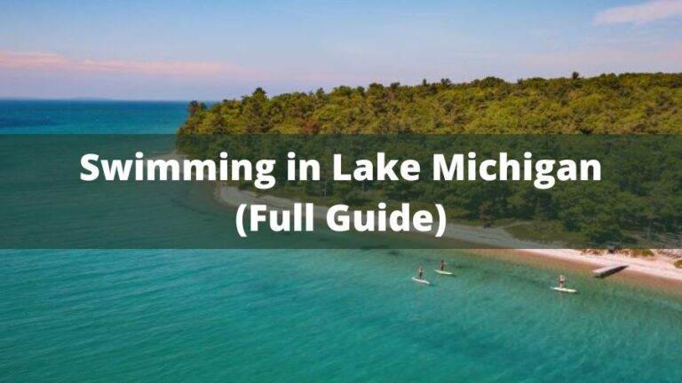 Can You Swim In Lake Michigan | Full Guide - World-Wire