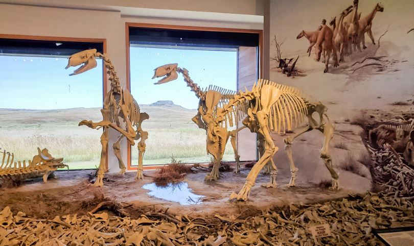 Agate Fossil Bed National Monument, the south of Omaha