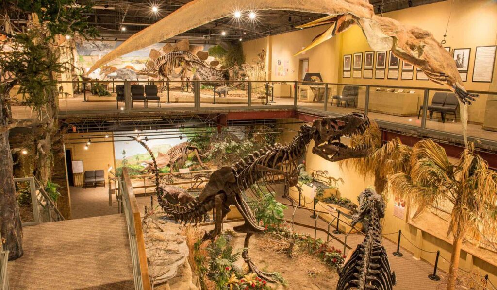 Glendive Dinosaur and Fossil Museum - Montana