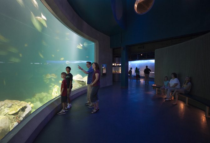 Mississippi River Museum and Aquarium