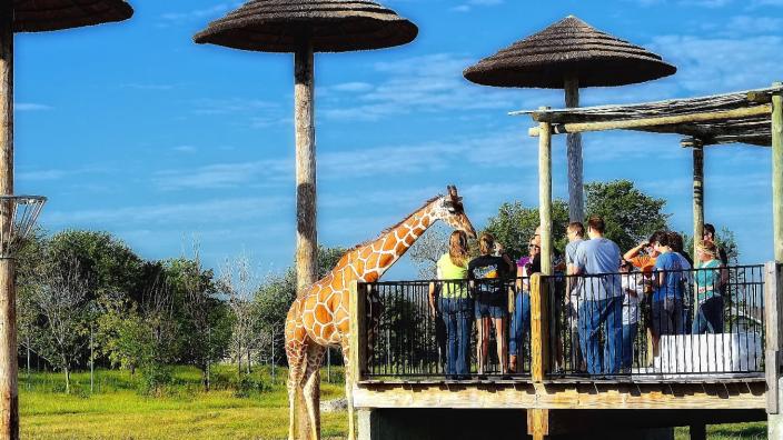 Tanganyika Wildlife Park