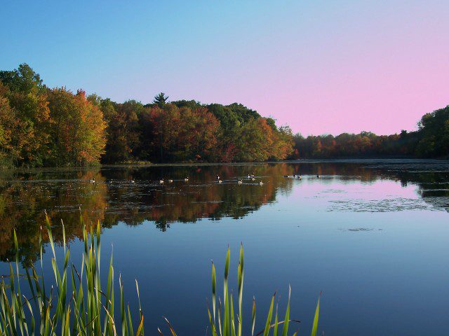 Ann Lee Pond Nature and Historic Preserve