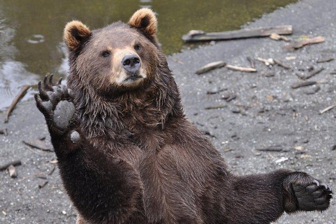 Fortress of the Bear, Sitka