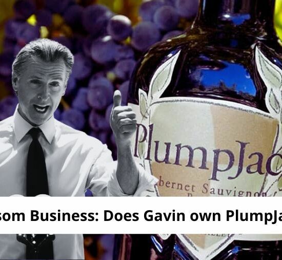 Gavin Newsom Business: Does Gavin own PlumpJack Winery?