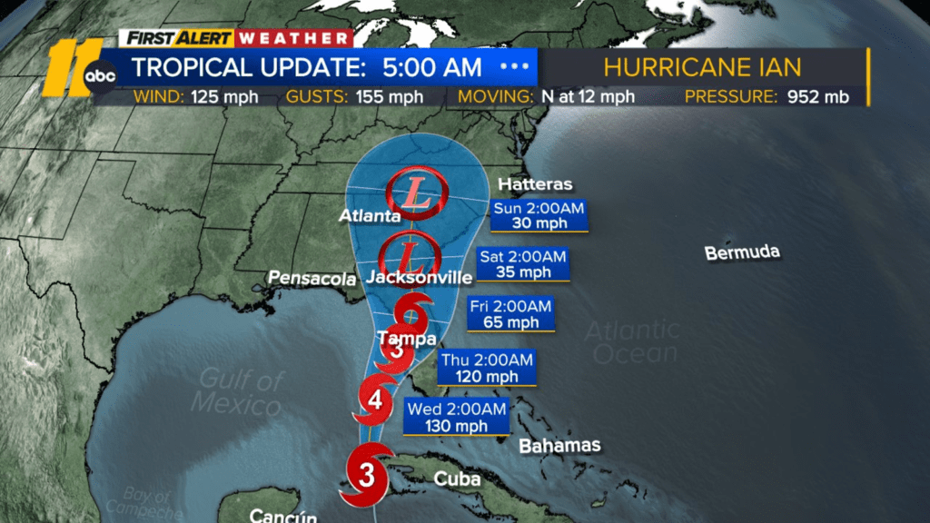 Hurricane In Orlando August 2024 Norah Marylee