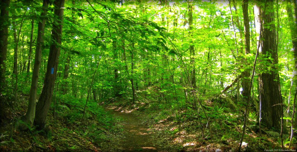 Lime Rock Nature Preserve, Rhode Island