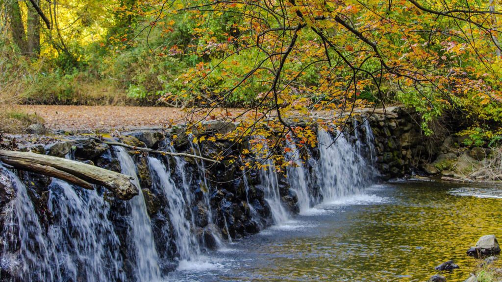 Ridley Creek State Park