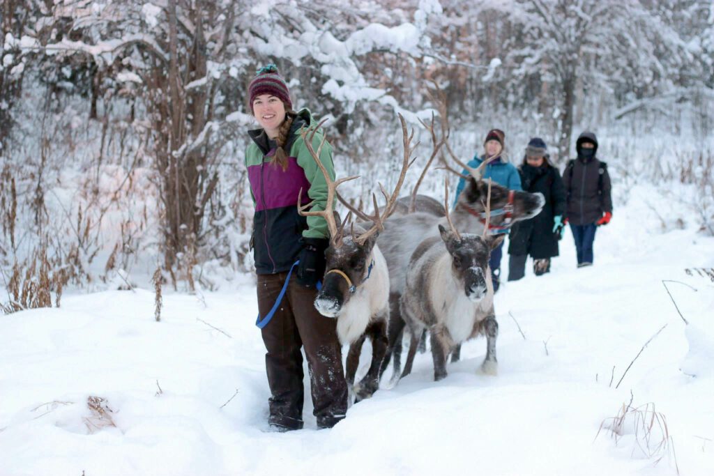 Running Reindeer Ranch, Fairbanks, Alaska