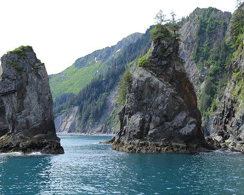 Kenai Fjords and Resurrection Bay Half-Day Wildlife Cruise: