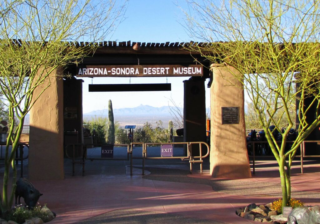 Arizona-Sonora Desert Museum